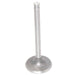 24 017 01-S Kohler Intake Valve (Std) | DRMower.ca